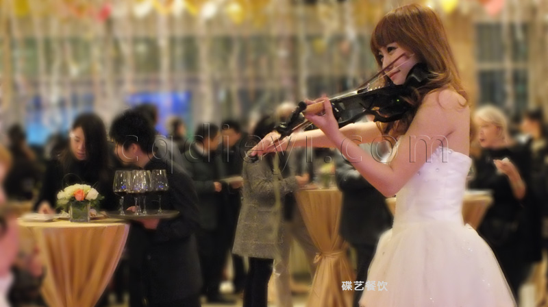 酒会服务 小提琴表演 \