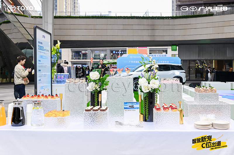 丰田博智3X重庆区域上市发布会冷餐
